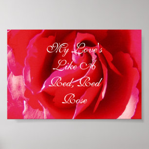 Poster Mon amour aiment un rose rouge rouge