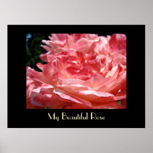 Poster Mon beau art d'impression de rose Roses roses amou