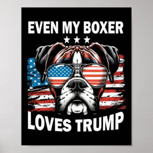 Poster Mon boxeur aime Trump
