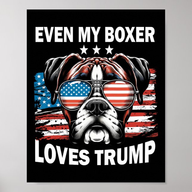 Poster Mon boxeur aime Trump (Devant)