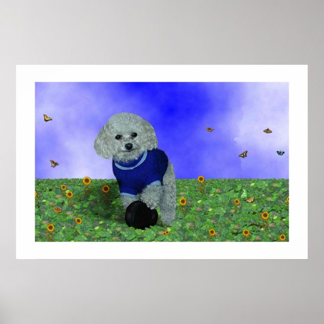 Poster Mon caniche et sa balle. (Devant)