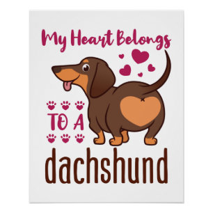 Poster Mon coeur appartient à un Dachshund