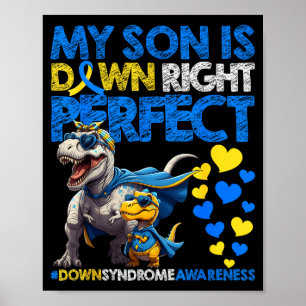 Poster Mon fils est absolument parfait pour la sensibilis