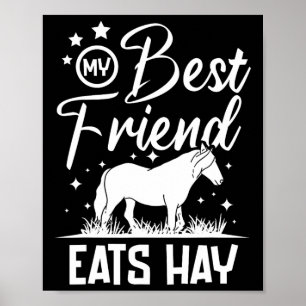 Poster Mon meilleur ami mange du foin