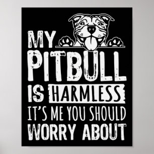 Poster Mon Pitbull est sans danger c'est moi que vous dev