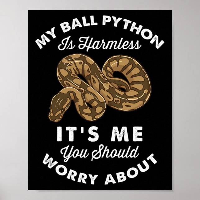 Poster Mon Python Ball est sans danger C'est moi que tu d (Devant)