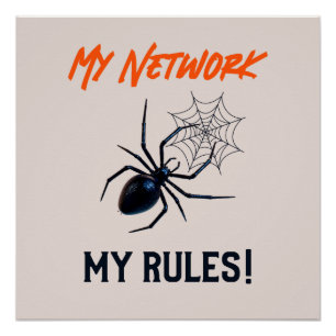 Poster Mon réseau, mes règles Drôle informatique