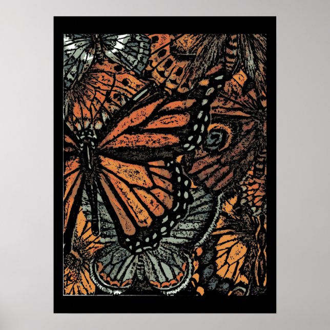 Poster Monarch Butterfly (Devant)