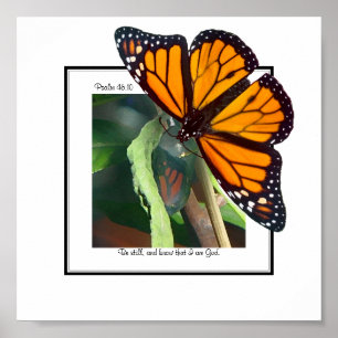 Poster Monarch Butterfly et Chrysalis Art