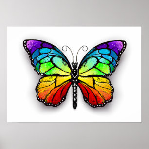 Poster Monarque papillon arc-en-ciel