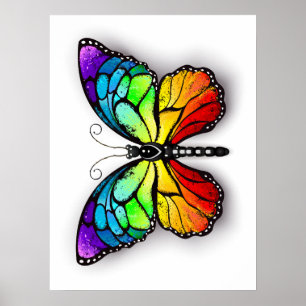 Poster Monarque papillon arc-en-ciel
