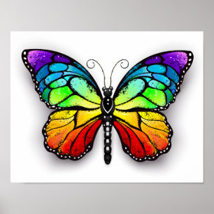 Poster Monarque papillon arc-en-ciel