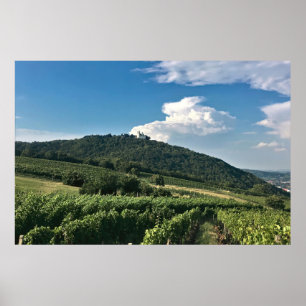 Poster Monastaire et vignoble