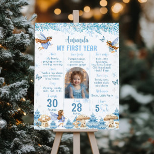 Poster Monde féerique d'hiver Première année Photo jalonn