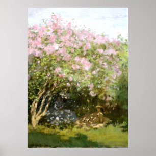 Poster Monet - Lilacs au soleil