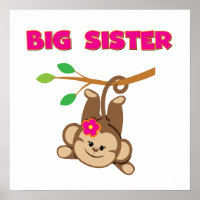 Monkey Big Sister