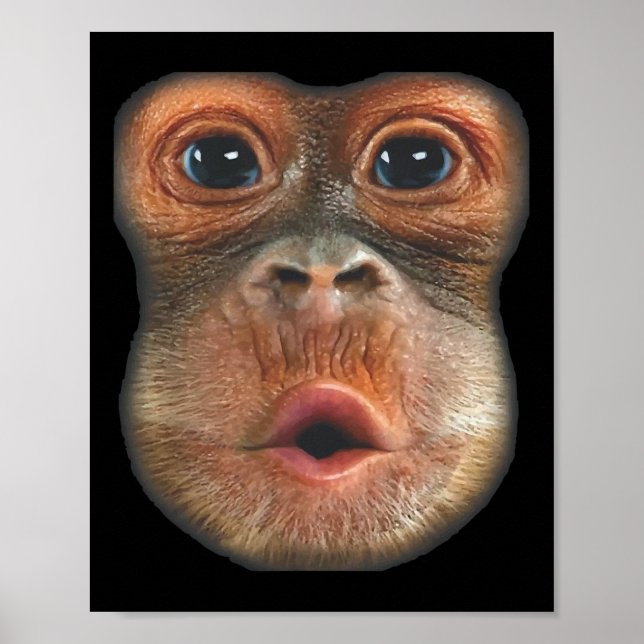 Poster Monkey Blowing Stomach Face  (Devant)