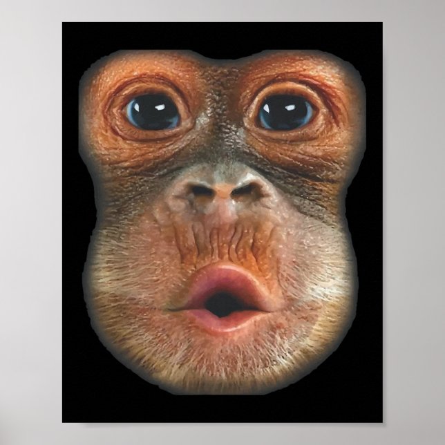Poster Monkey Blowing Stomach Face  (Devant)