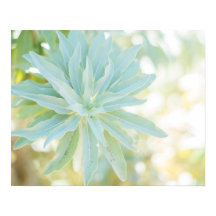 Monnaie Vert Succulent Cactus Fleur Nature Art