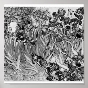 Poster-Monochrom-Van Gogh-Ire Poster