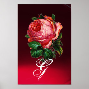 POSTER MONOGRAMME DE ROSE ROSE PÂLE BELLE