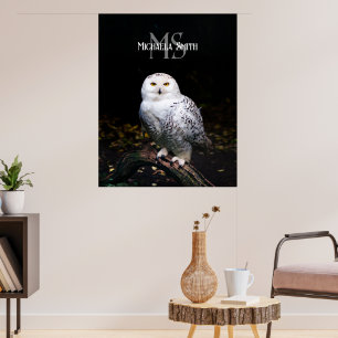 Poster Monographie de hivernal majestueux hivernal
