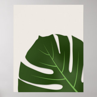 Poster Monstera