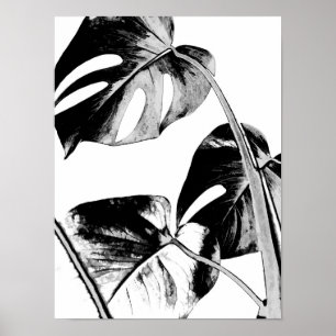 Poster monstera palm feuille tropical noir et blanc