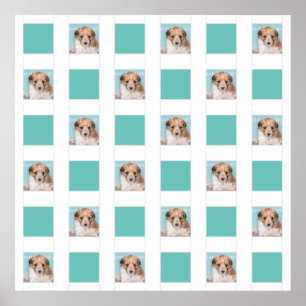 Poster Montage photo pour animaux de compagnie 18 do-it-y