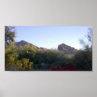 Poster Montagne Camelback