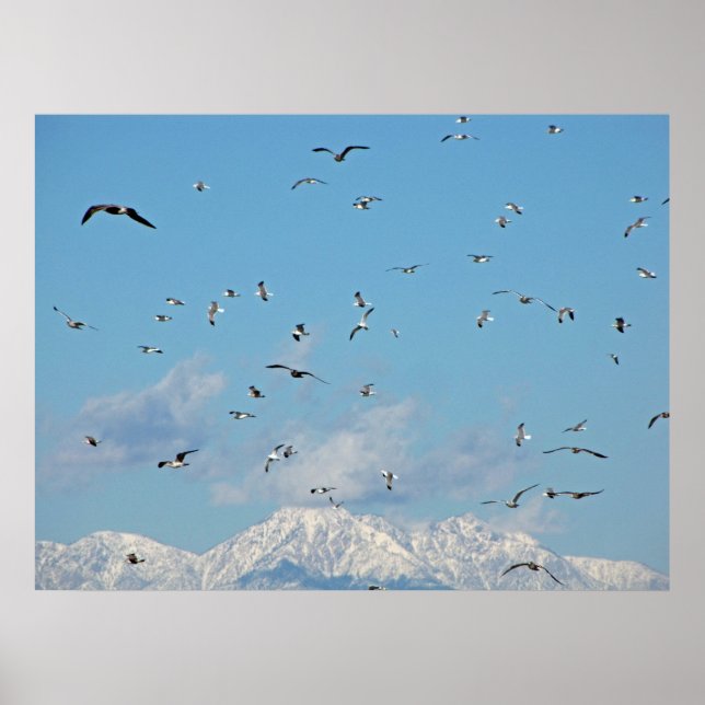 Poster Montagne des neiges (Devant)