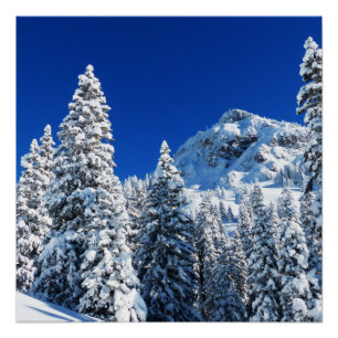 Poster Montagne des neiges