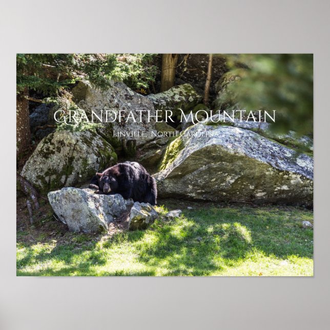 Poster Montagne du grand-père (Devant)