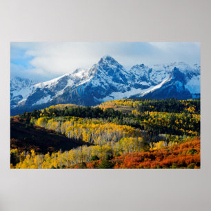 Poster Montagne et arbres neigeux