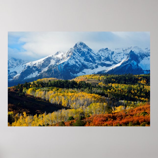 Poster Montagne et arbres neigeux (Devant)