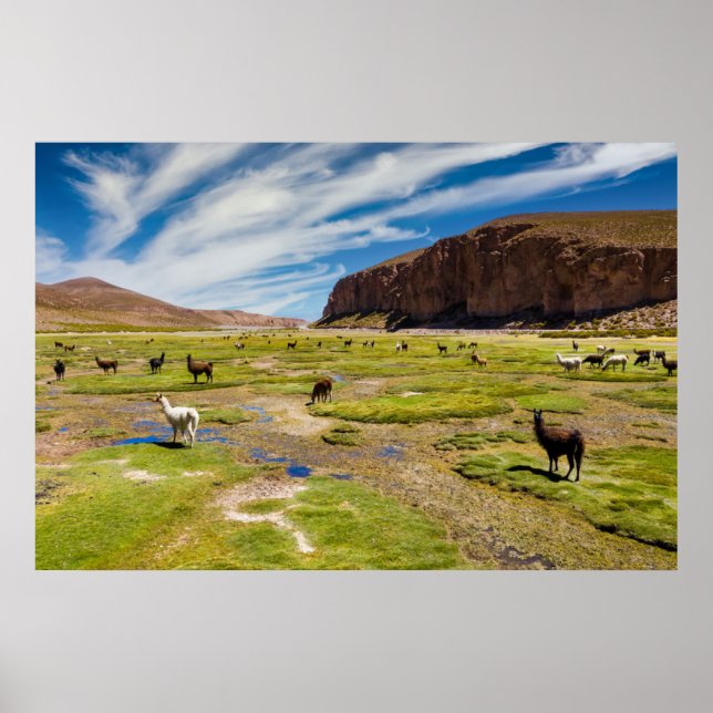 Poster Montagnes | Andes boliviennes (Devant)