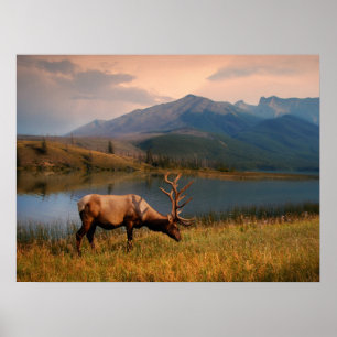 Poster Montagnes   Jacques Mountain Range Alberta Canada