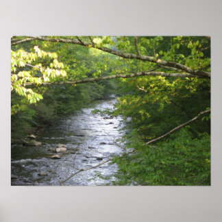 Poster Montagnes Smokey