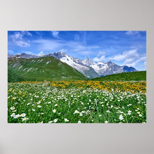 Poster Montagnes | Swiss Alps Valley Spring (Devant)