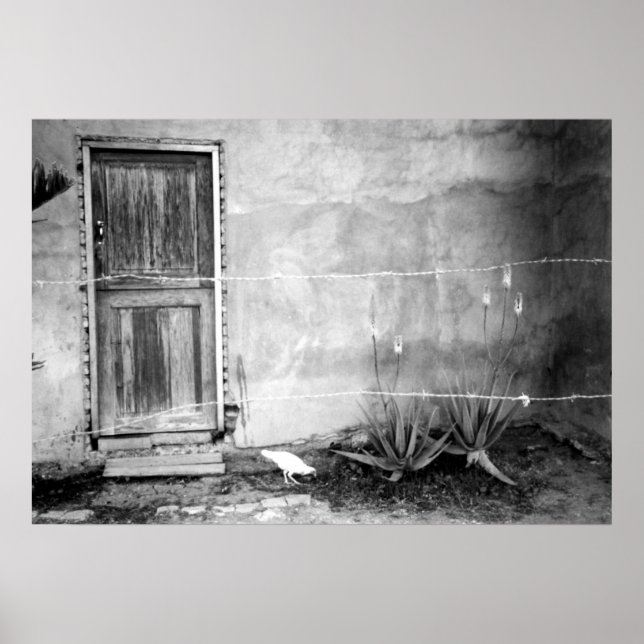 Poster Montana de' Luz, Honduras (Devant)