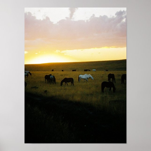 Poster Montana Sky (Devant)