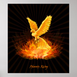 Poster Montée de Phoenix