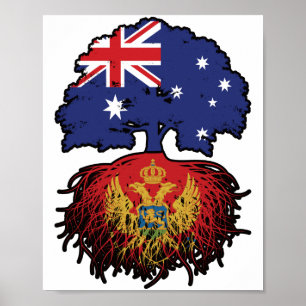 Poster Monténégro Montenegro Australian Tree