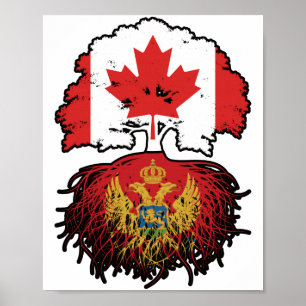 Poster Monténégro Monténégro Racines d'arbres du Canada c