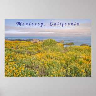 Poster Monterey Spring