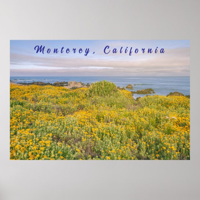 Poster Monterey Spring (Devant)