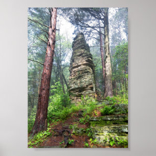 Poster Monticule castrée dans la forêt de l'État