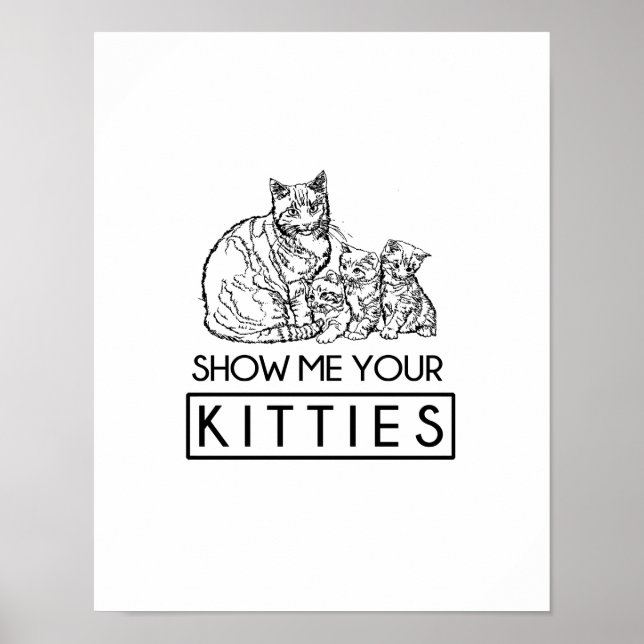 Poster Montre-moi tes Kitties (Devant)