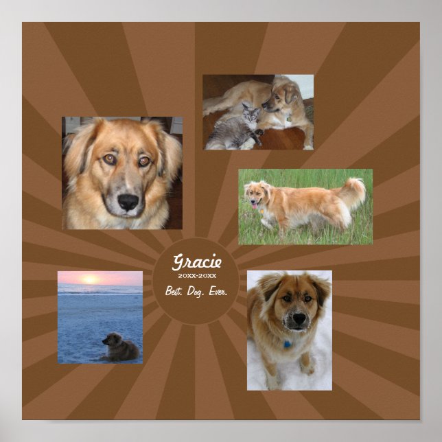 Poster Monument aux chiens personnalisés (Devant)