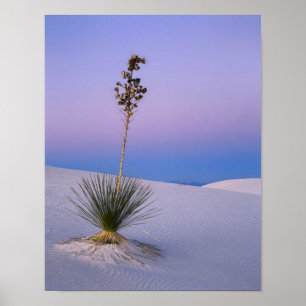 POSTER MONUMENT NATIONAL DES SABLES BLANCS, NOUVEAU MEXIQ